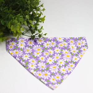 May include: Purple dog bandana with a white daisy print. The bandana has a white border and a green stem on each daisy.