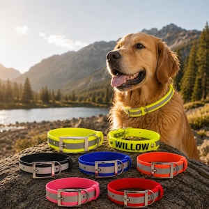 May include: A collection of waterproof dog collars in black, blue, orange, pink, red, and neon yellow, each featuring a silver metal buckle and a reflective gray strip. One yellow collar is personalized with the name WILLOW in black letters.
