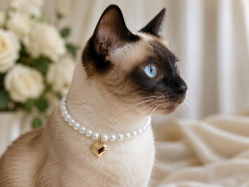Pearl Cat Collar, White Bead Girly Kitty Collar, Wedding Necklace image 2