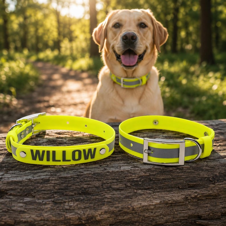May include: Two neon yellow dog collars featuring a reflective silver center stripe and a silver metal buckle. One collar displays the name WILLOW in bold black letters. The collars are constructed from a smooth, durable material with metal rivets.