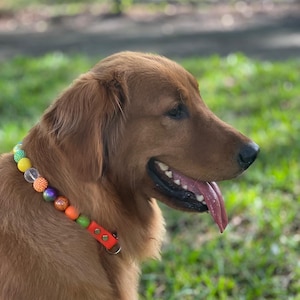 Isabella&#39;s beaded dog collar collection, fancy bright necklace, waterproof dog collar, girly bead collar,cute dog collar,party girl necklace