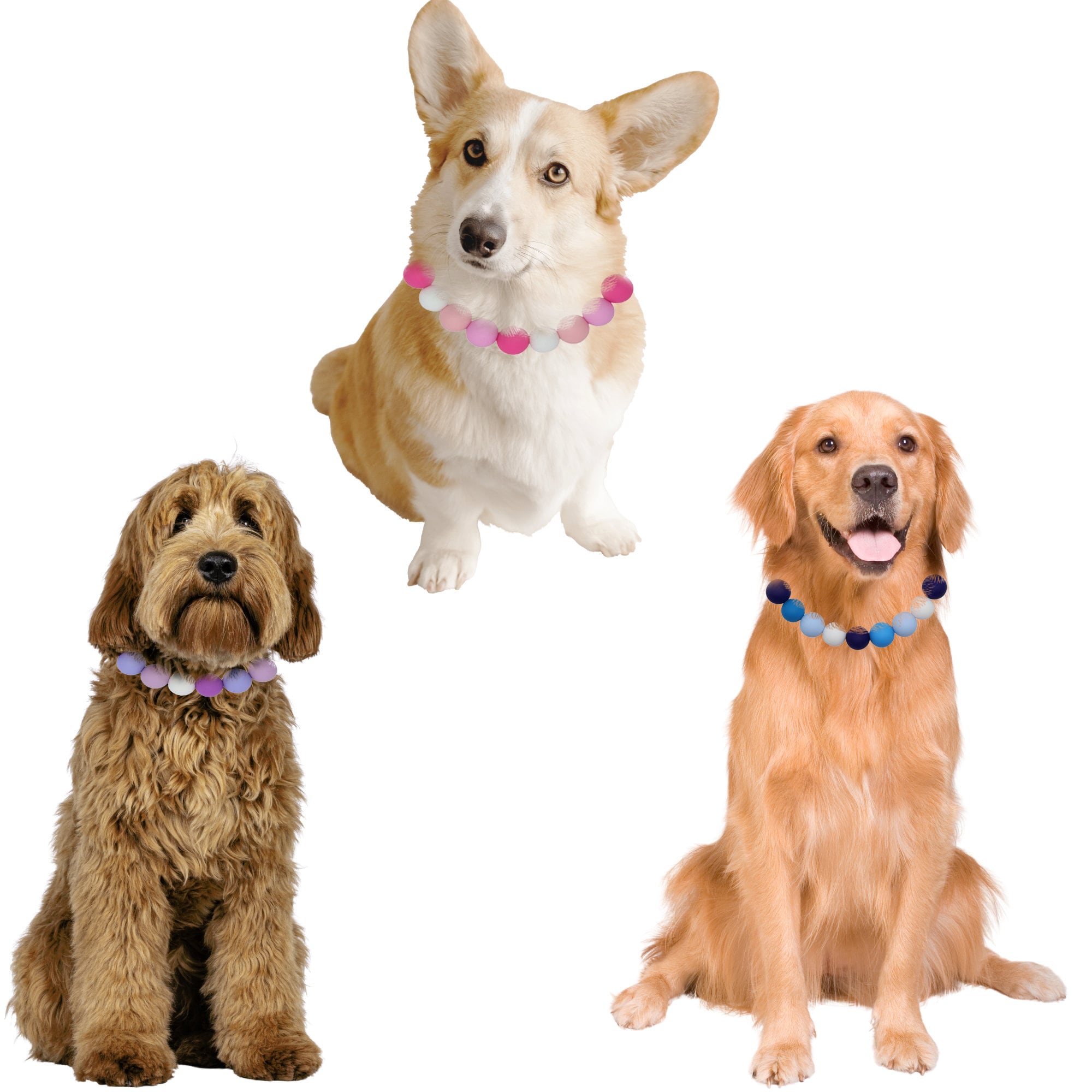 Friendship bracelet dog collar set, beaded dog necklace,matching dog and owner,fancy designer cat necklace,waterproof girly pet collar,puppy