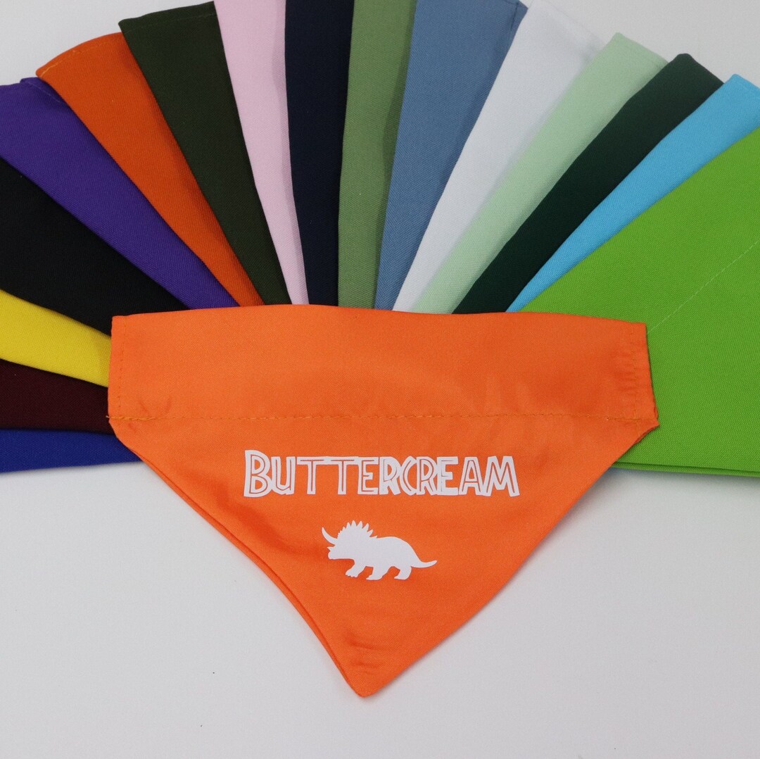 Personalized Dinosaurs Dog Bandana Over the Collar, Custom Name Dog or