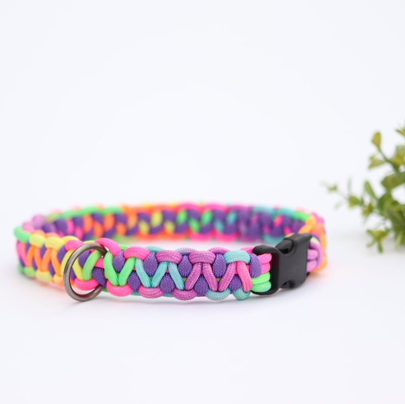 May include: A multi-colored paracord dog collar with a black plastic buckle and a silver metal D-ring.