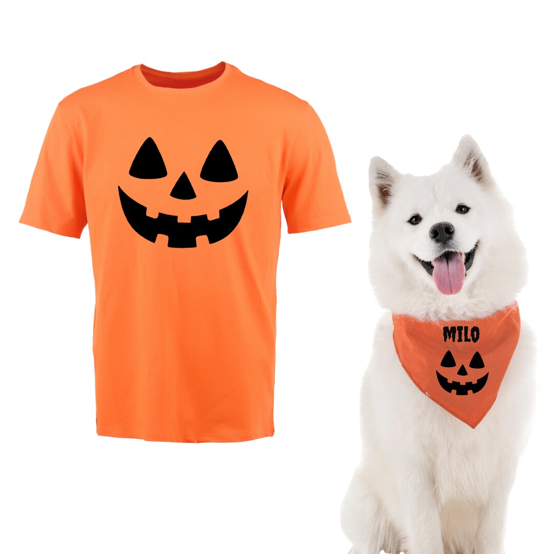 Cane e proprietario abbinati a costumi di Halloween, divertente