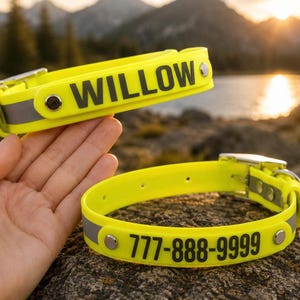 May include: A bright neon yellow pet collar featuring a reflective silver strip and black text. One collar displays the name WILLOW, while the other shows the phone number 777-888-9999. Both collars are secured with silver metal rivets and buckles.