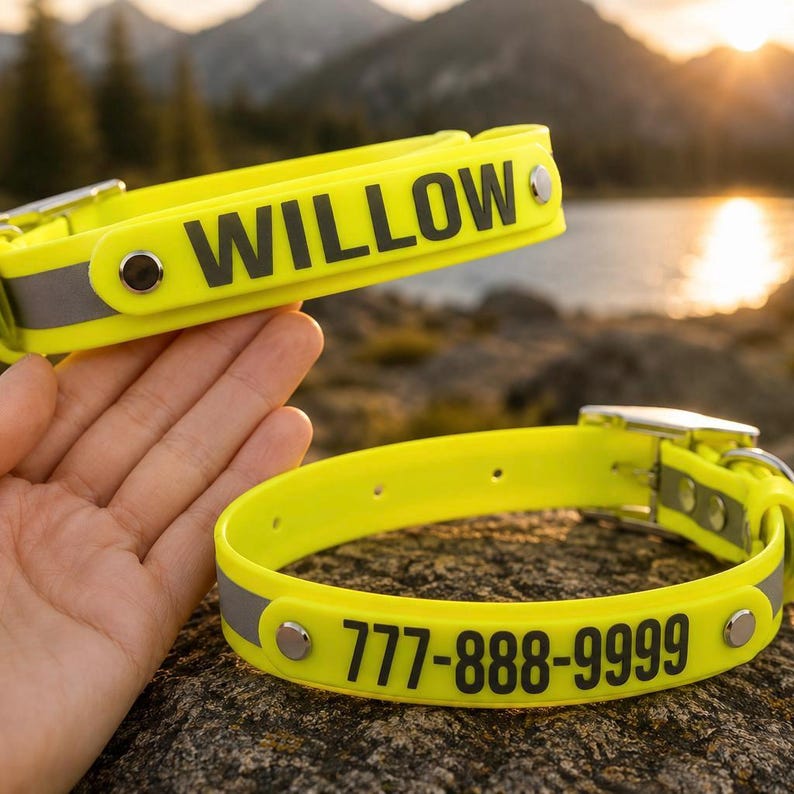 May include: A bright neon yellow pet collar featuring a reflective silver strip and black text. One collar displays the name WILLOW, while the other shows the phone number 777-888-9999. Both collars are secured with silver metal rivets and buckles.