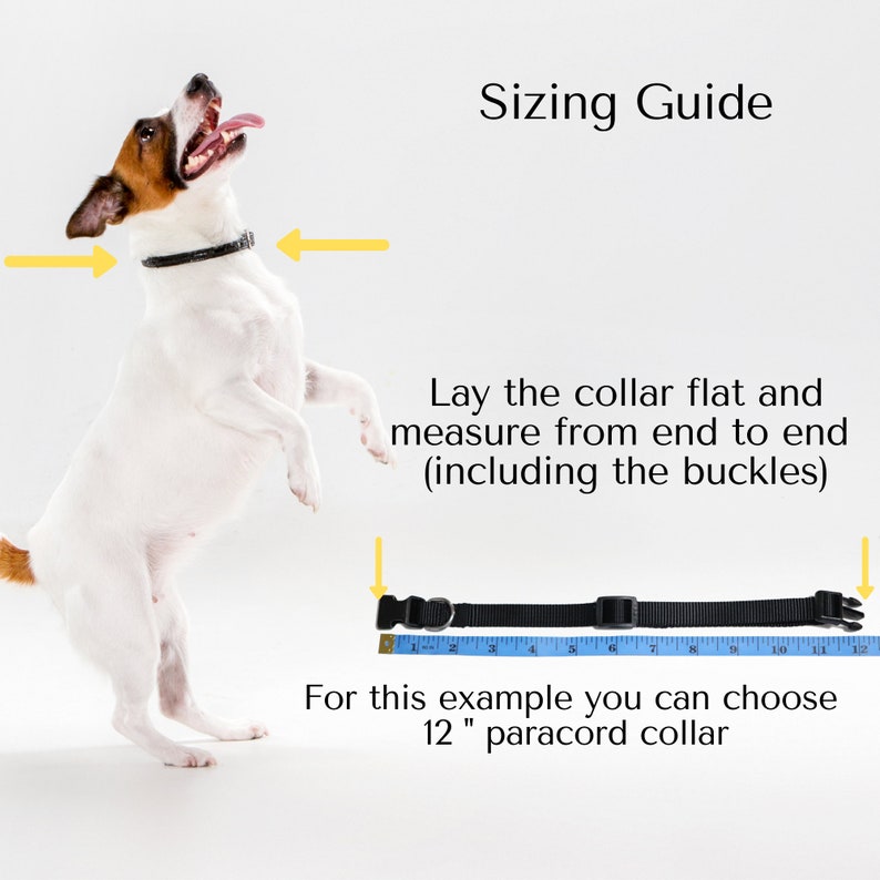 May include: A white and brown dog wearing a black collar with a measuring tape showing 12 inches. The text "Sizing Guide" is at the top of the image. The text "Lay the collar flat and measure from end to end (including the buckles)" is below the dog. The text "For this example you can choose 12" paracord collar" is at the bottom of the image.