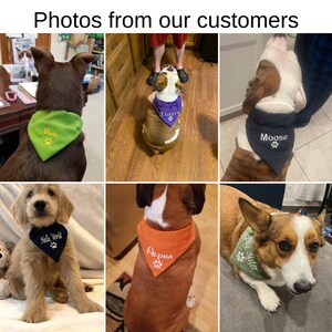 May include: Photos of dogs wearing personalized bandanas. The bandanas are in various colors and feature different names and phrases, such as "Bear", "Daisy", "Moose", "Hello, World", "Alpha", and "Big Sister".