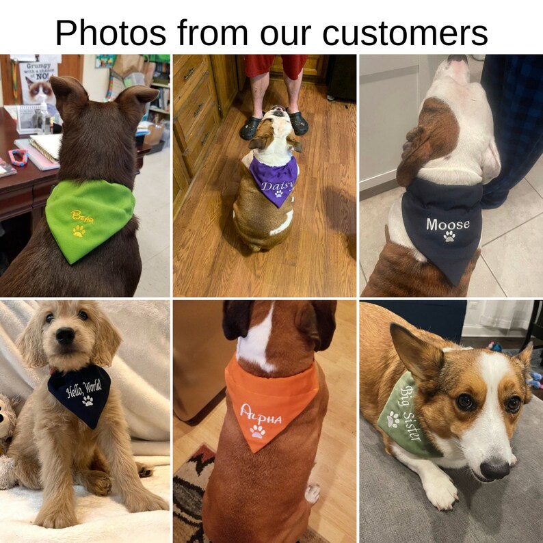May include: Photos of dogs wearing personalized bandanas. The bandanas are in various colors and feature different names and phrases, such as "Bear", "Daisy", "Moose", "Hello, World", "Alpha", and "Big Sister".