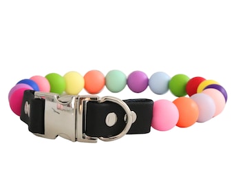 May include: A colorful beaded dog collar with a black leather strap and a silver buckle. The beads are arranged in a rainbow pattern.
