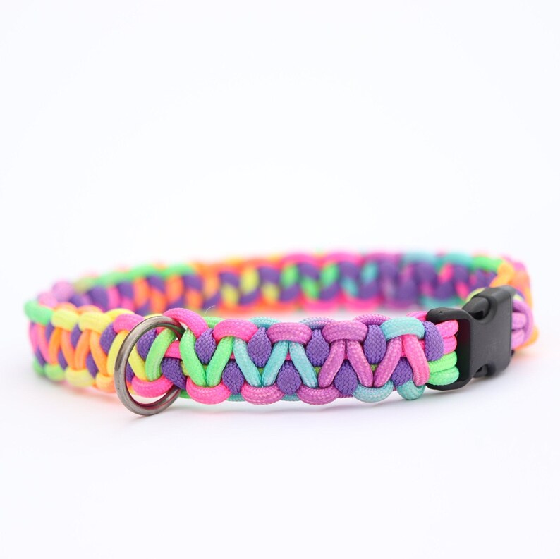 May include: A colorful braided dog collar with a rainbow pattern, featuring a silver metal ring and a black plastic buckle.