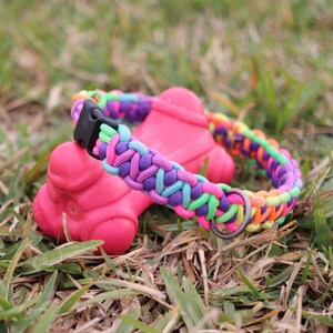 May include: A colorful paracord dog collar with a black buckle and a silver ring. The collar is made with a rainbow of colors, including pink, purple, green, and orange.