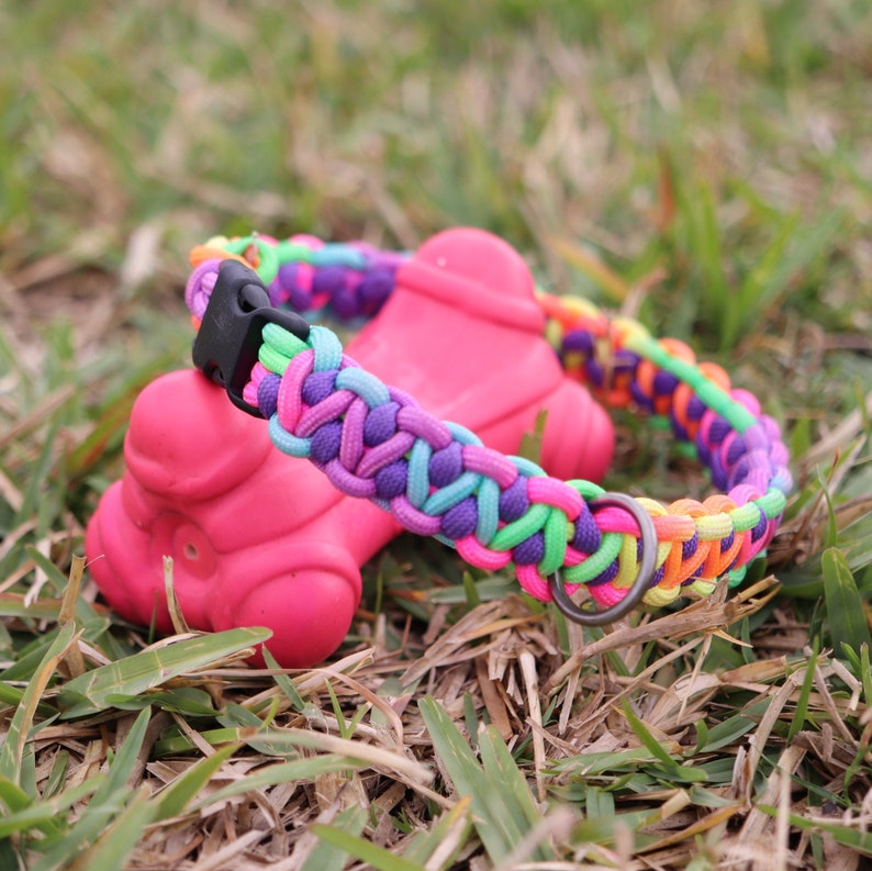 May include: A colorful paracord dog collar with a black buckle and a silver ring. The collar is made with a rainbow of colors, including pink, purple, green, and orange.