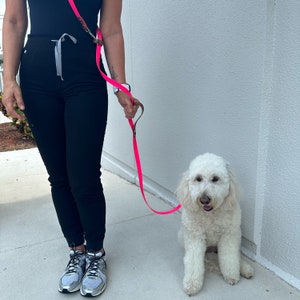 Laisse mains libres en Biothane®, laisse pour chien en bandoulière réglable, cuir végétalien polyvalent 3/4 po., imperméable bicolore, ligne de trafic robuste