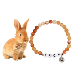 Pet memorial name bracelet, bunny name stone bracelet,custom beaded rabbit name bracelet,memorial pet jewelry,paw bracelet,animal lover gift