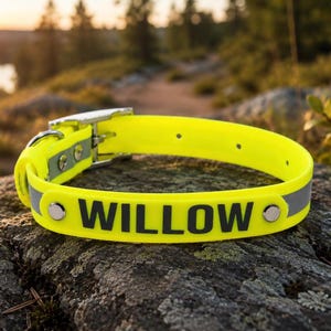 May include: A neon yellow pet collar featuring a reflective silver strip and the name WILLOW printed in bold black capital letters. The collar includes a metal buckle, a D-ring, and two silver-toned rivets securing the nameplate section.