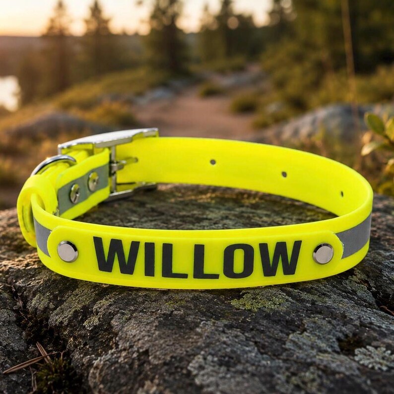 May include: A neon yellow pet collar featuring a reflective silver strip and the name WILLOW printed in bold black capital letters. The collar includes a metal buckle, a D-ring, and two silver-toned rivets securing the nameplate section.
