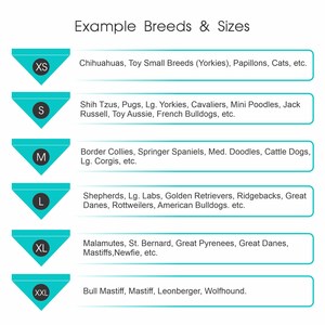 May include: A chart showing dog breed sizes with examples of breeds for each size category. The categories are XS, S, M, L, XL, and XXL.