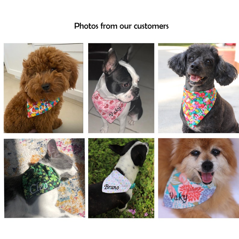 Personalized dog bandana over the collar, custom embroidered dog or cat bandana, girl female reversible pet bandana, flower name dog bandana image 4