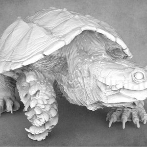 Miniatures fantastiques de Turtlefolk | Tortues serpentines | Miniatures de tanière d&#39;animaux