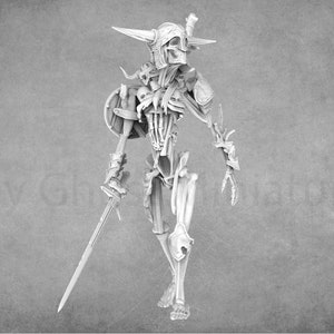 Fantasy Demon Miniatures | 3DArtDigital