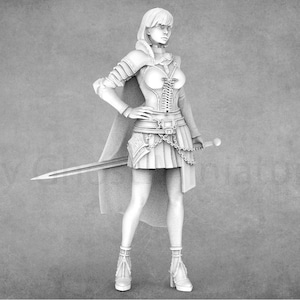 An Anime Series Inspired Miniatures | RN Estudio