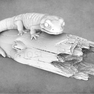 Salamander Miniatures | Animal Den Miniatures