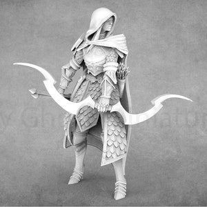 Fantasy Elf Miniatures | Warriors | Archers | Praetorians | Lord of the Print