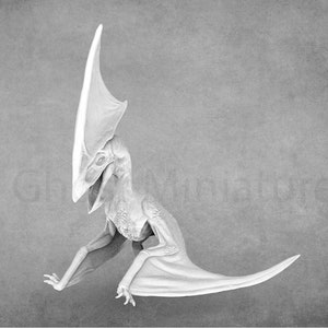 Tupandactylus / Miniature di dinosauri / Signore della stampa