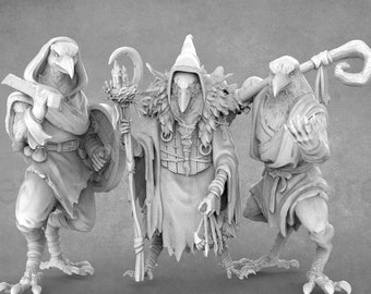 Incredible collection of Kenku miniatures | Kenku Warrior | Kenku Druid | Kenku Cleric | Kenku Mage | White Werewolf Tavern