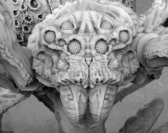 Modular Spider Miniatures: Creepy Crawly Resin Model - Asgard Rising