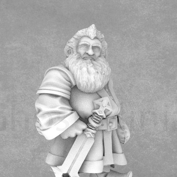 Balin | Lord of the Rings Miniature | Gorgeous 32mm fantasy miniatures | RN Estudio