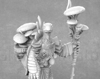 Doc Roony, Tortun Druid  | Tortle Miniature | Dragon Trappers Lodge
