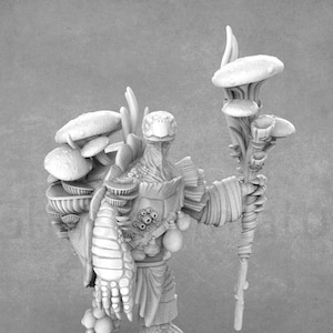 Doc Roony, Tortun Druid  | Tortle Miniature | Dragon Trappers Lodge