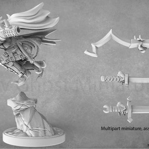 May include: A grey plastic miniature of a hooded figure holding a weapon, with a separate sword and scabbard. The figure is in a jumping pose, with a base included. The text "Multipart miniature, assembly required" is visible at the bottom of the image.