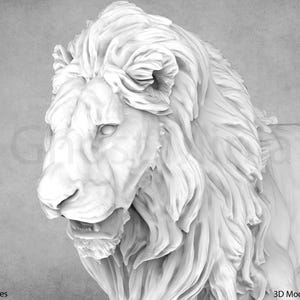 Saharan Animals | Animal Den Miniatures