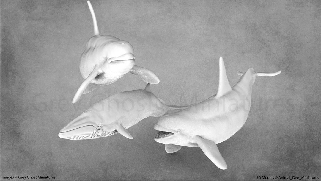 Aquatic Predators | Animal Den Miniatures - Etsy