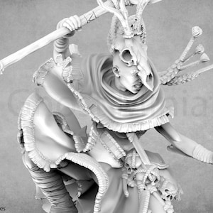 Aelorin, The Druid | The Witchguild