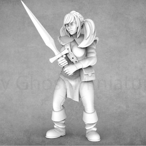 Adventure Board Game Inspired Miniatures | Heroine Quest Miniatures | RN Estudio