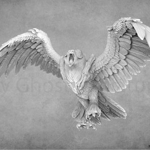Fantasy Owlbear Miniatures  | Dragon Trappers Lodge
