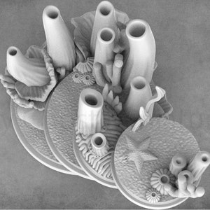 Underwater Miniature Bases | Coral Reef | Egg Sac | Nautilus | Undersea Emblem |  Cobramode
