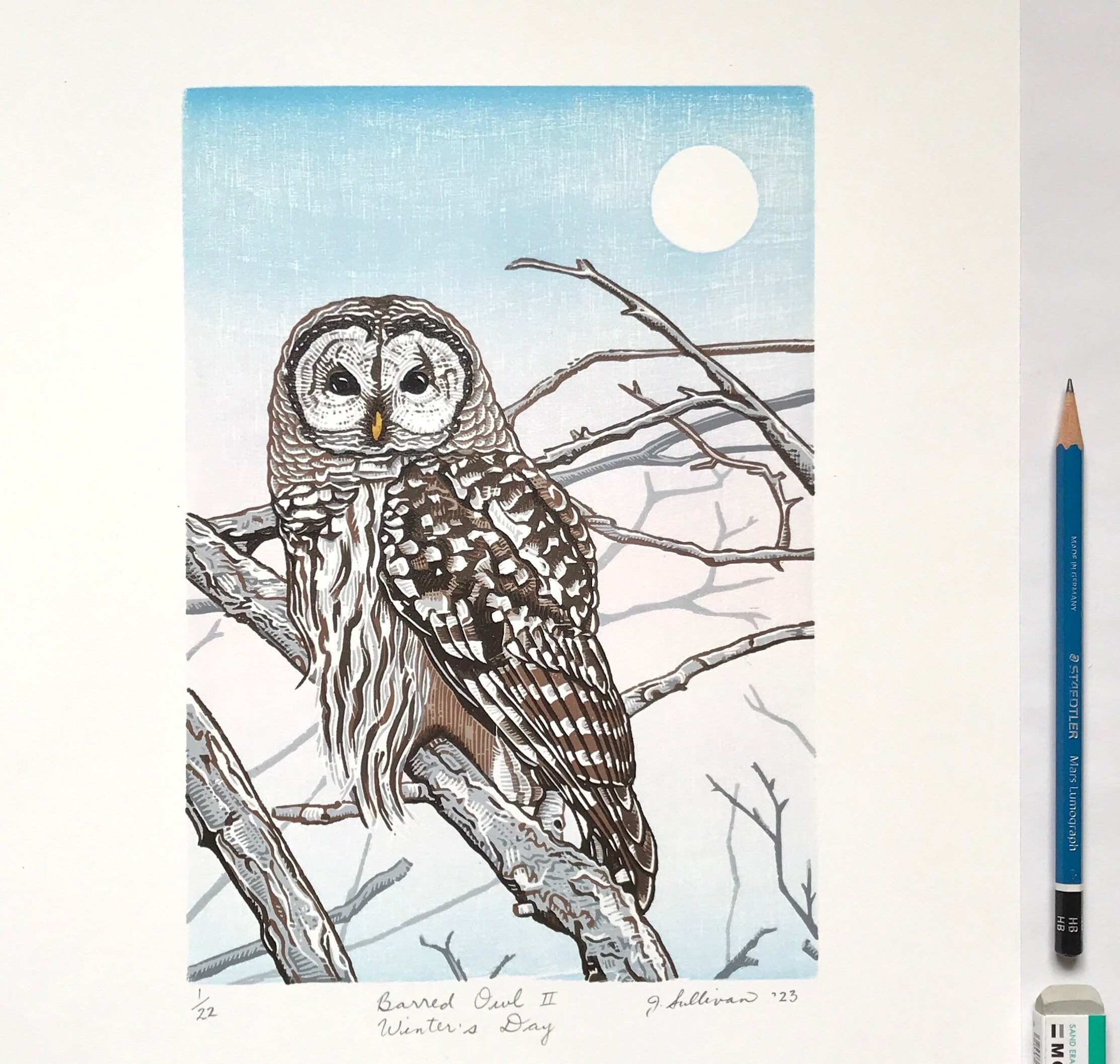 Búho barrado II, día de invierno, 11 x 14, xilografía reducida impresa a mano, impresión de bellas artes de edición limitada, arte mural de aves único, regalo para amantes de la naturaleza
