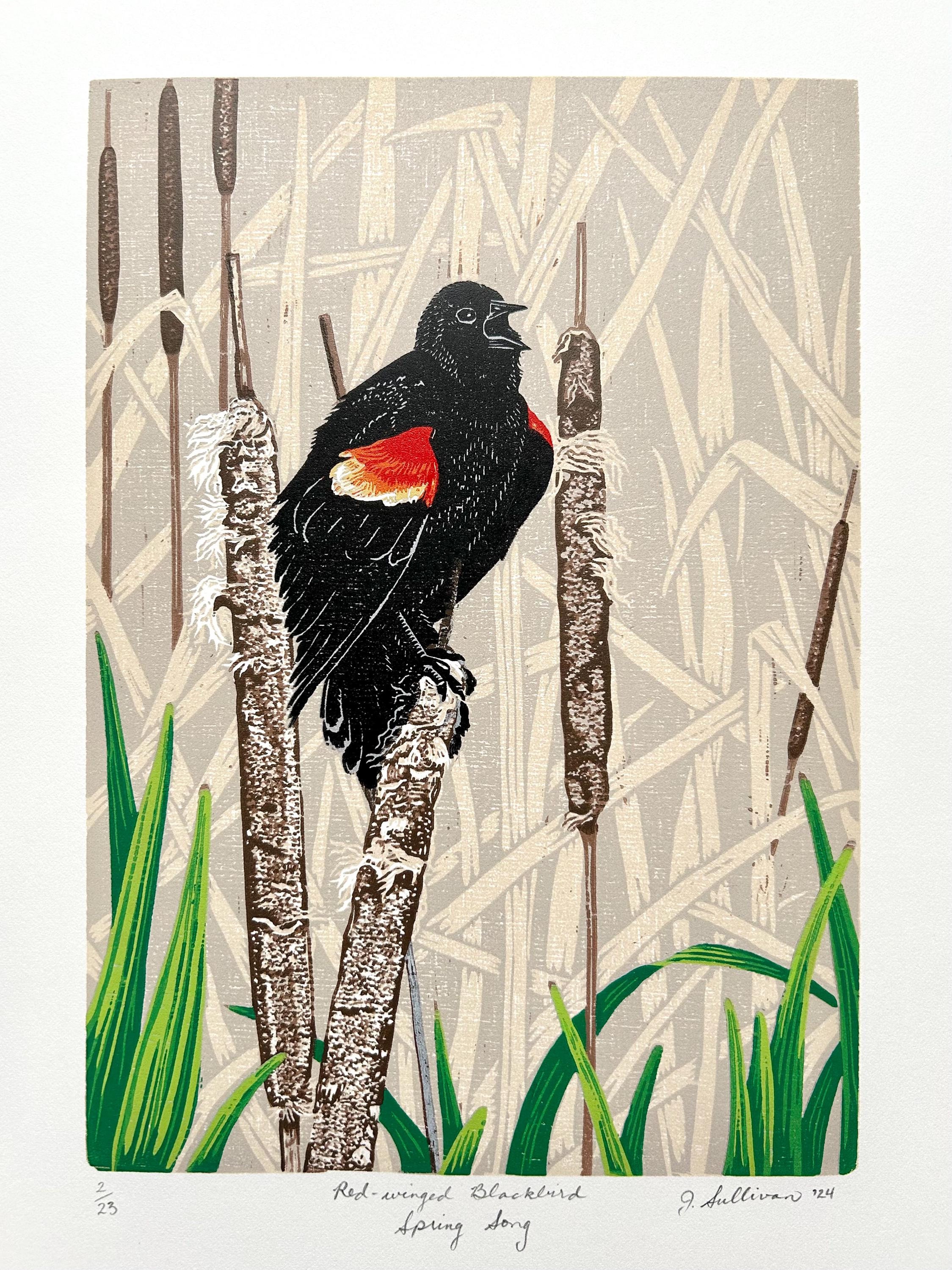 11x14 Red-winged Blackbird, Spring Song | Hand-printed Reduction