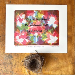 11x14 メアリー・オリバーの詩の引用：ジェリプレートの葉のプリントに活版印刷されたテキスト、自然愛好家の植物画