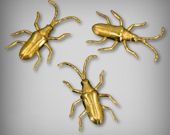 Brass Findings, Brass LONGHORN BEETLE, Brass Insect Stamping, Brass Beetle, Unplated Brass, Brass Jewelry Findings, 4 Pieces