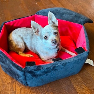 coffin dog bed