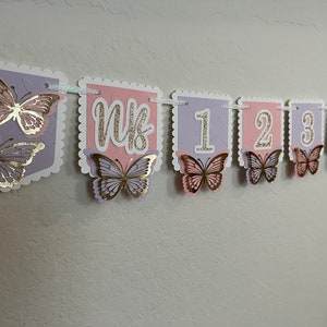 Butterfly Monthly Photo Banner/Pink & Purple Butterfly banner/Butterfly Milestone Banner