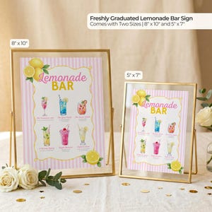 May include: Two framed lemonade bar signs. The larger sign is 8" x 10" and the smaller is 5" x 7". Each sign features a pink and white striped background with illustrations of lemonade drinks and the words "Lemonade Bar".