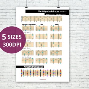 Póster de guitarra: El gráfico de 5 formas a escala mayor + Diagrama de notas de diapasón / Referencia imprimible de descarga digital